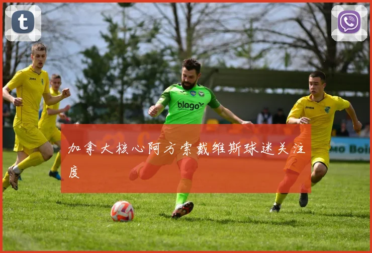 加拿大核心阿方索戴维斯球迷关注度