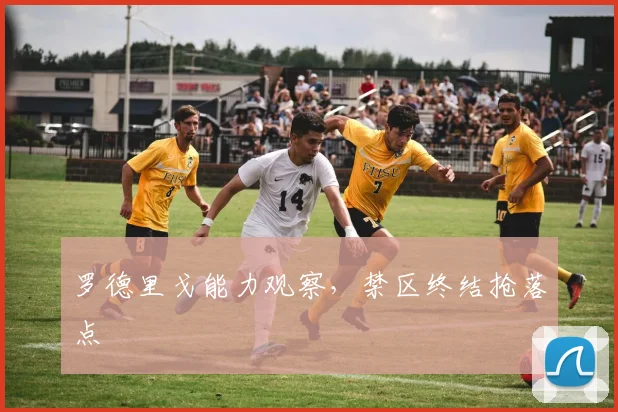 罗德里戈能力观察，禁区终结抢落点