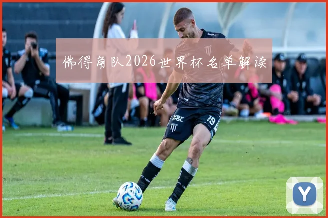 佛得角队2026世界杯名单解读