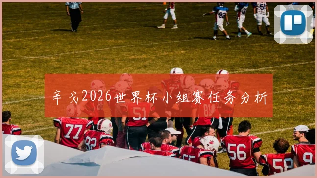 辛戈2026世界杯小组赛任务分析