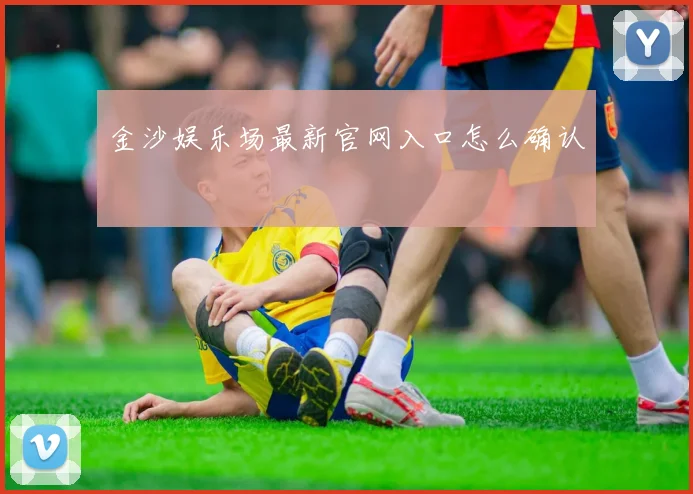 金沙娱乐场最新官网入口怎么确认