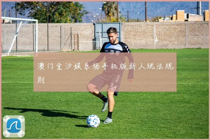 澳门金沙娱乐场手机版新人玩法规则