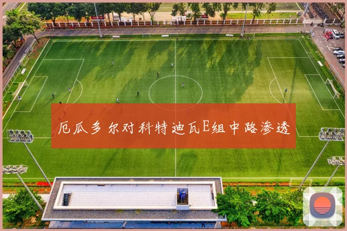 厄瓜多尔对科特迪瓦E组中路渗透