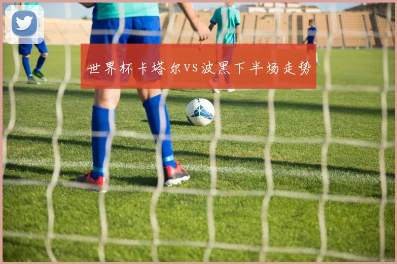 世界杯卡塔尔vs波黑下半场走势